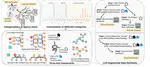 SynGraph: A Dynamic Graph-LLM Synthesis Framework for Sparse Streaming User Sentiment Modeling