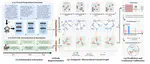 THCM-CAL: Temporal-Hierarchical Causal Modelling with Conformal Calibration for Clinical Risk Prediction